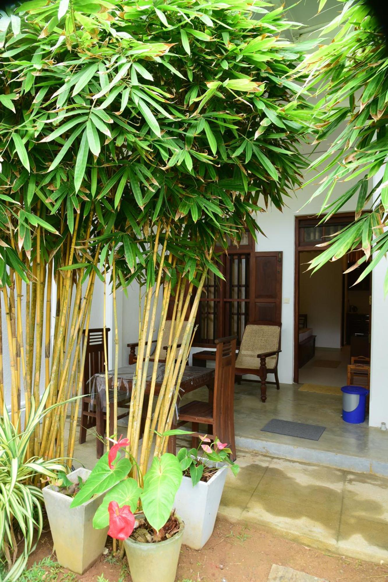 Tranquil Hotel Hikkaduwa Buitenkant foto